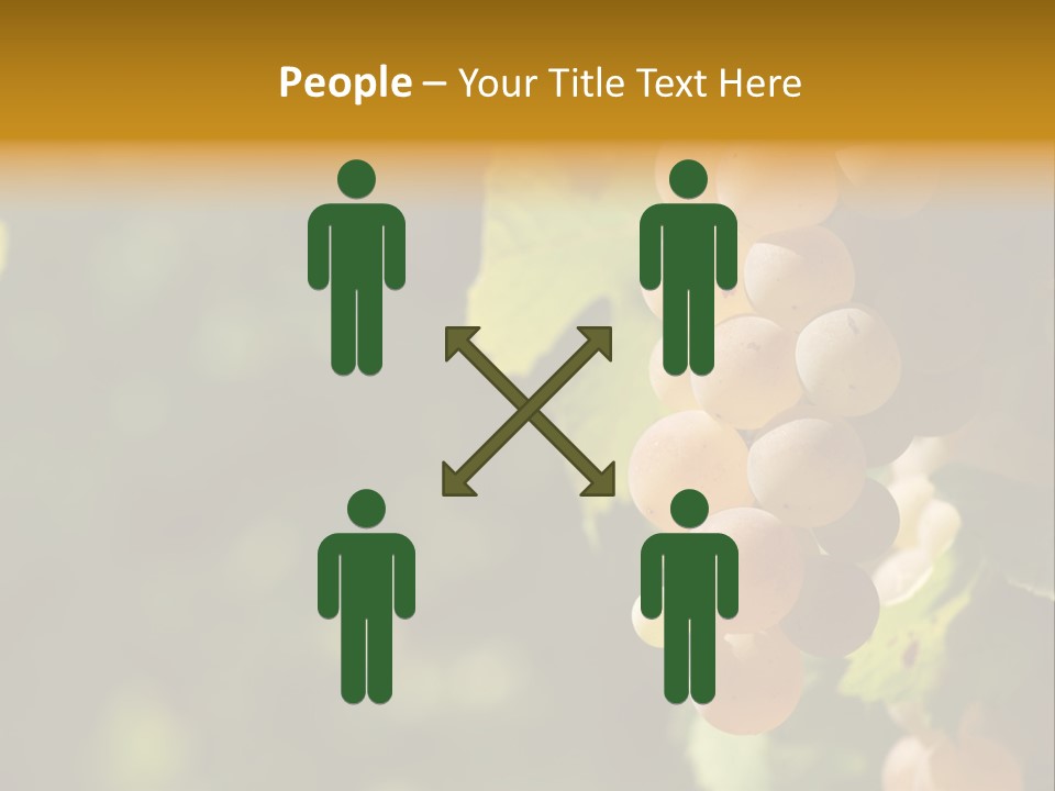 Crop White Sunlight PowerPoint Template