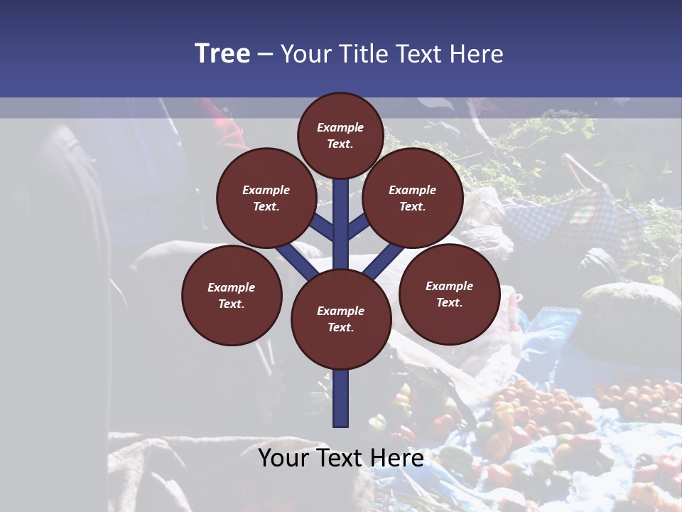 Fruit Selling Tomato PowerPoint Template