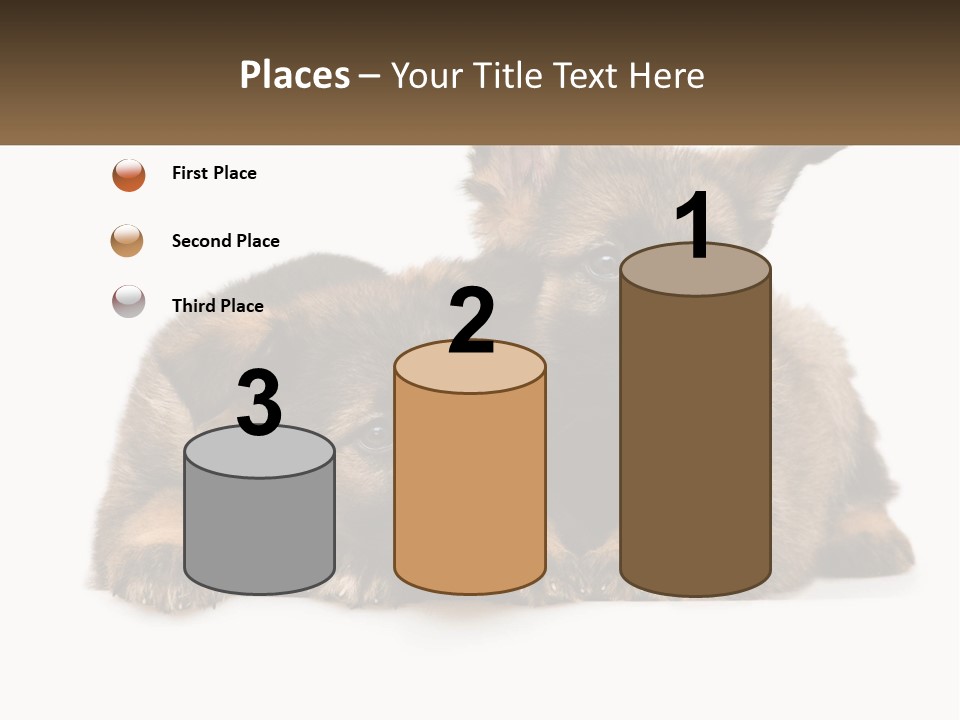 German Fun Obedient PowerPoint Template