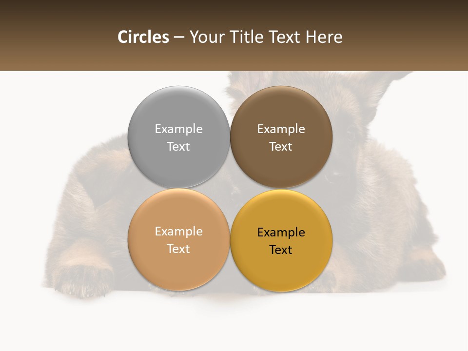 German Fun Obedient PowerPoint Template