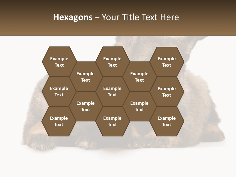 German Fun Obedient PowerPoint Template