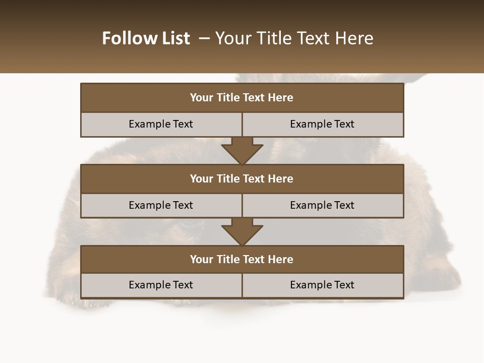 German Fun Obedient PowerPoint Template