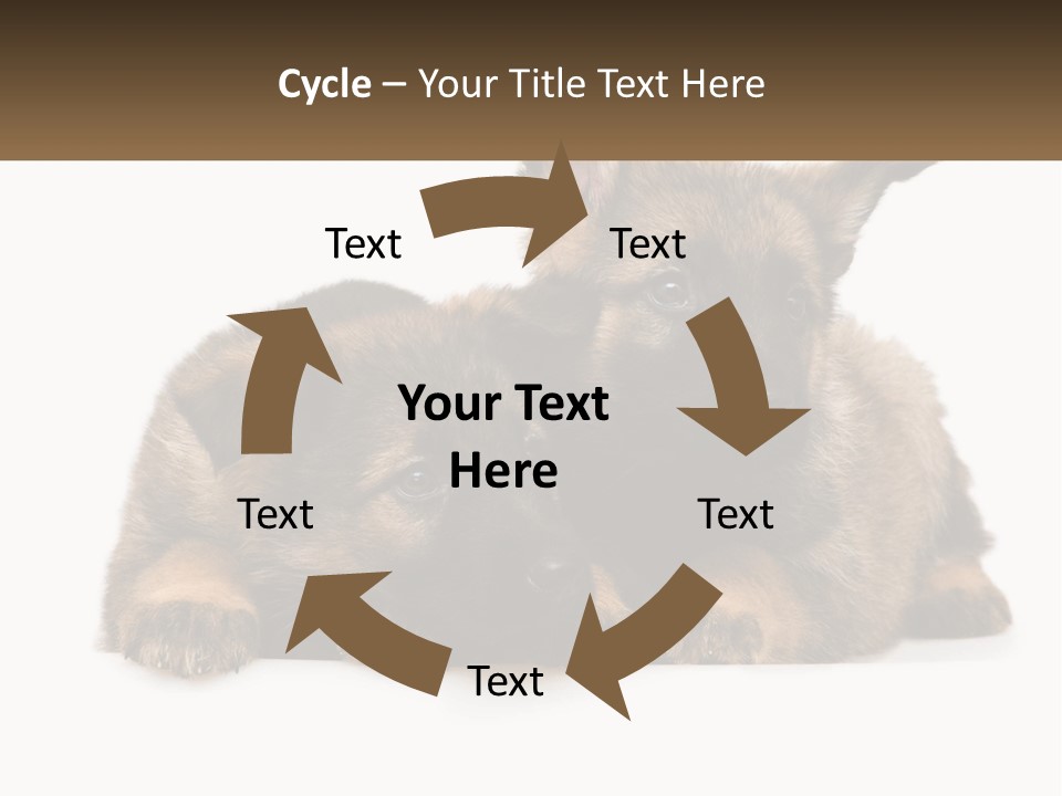 German Fun Obedient PowerPoint Template