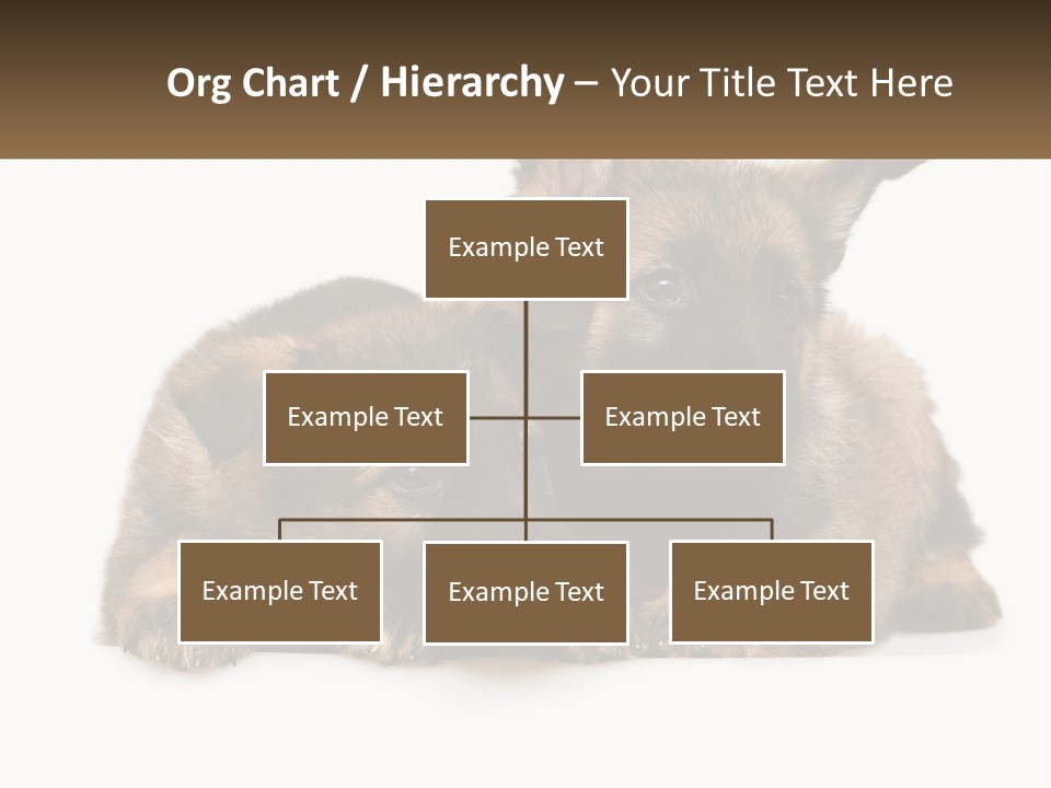 German Fun Obedient PowerPoint Template