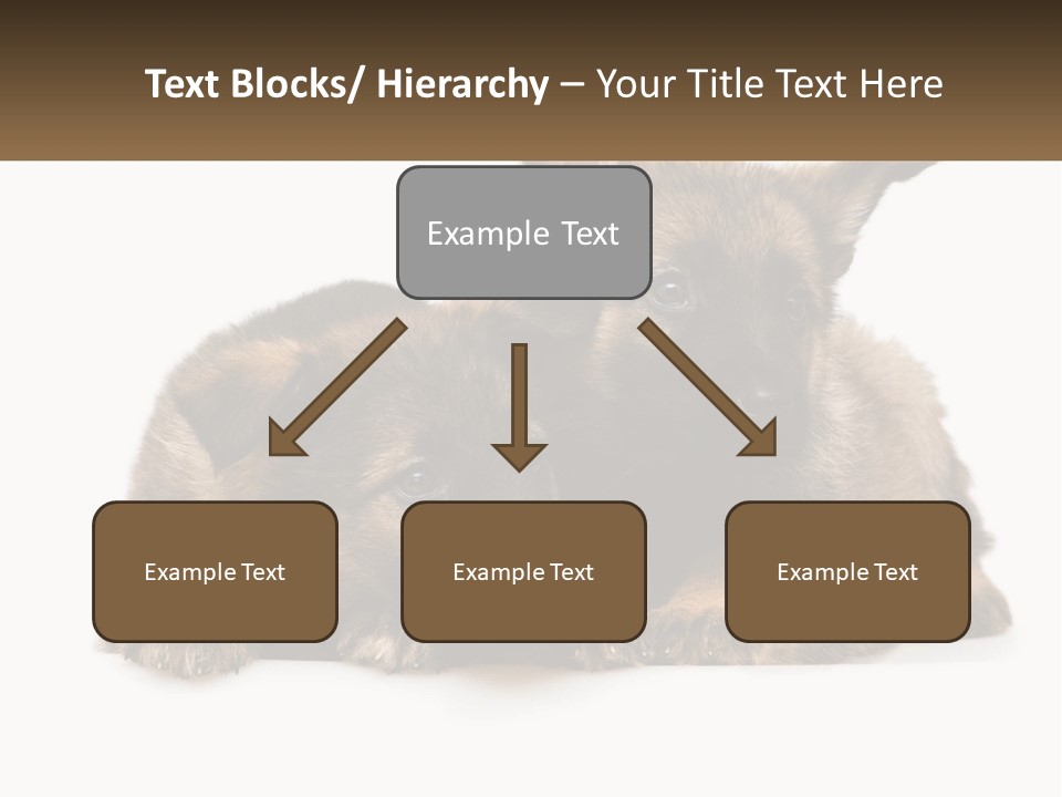 German Fun Obedient PowerPoint Template