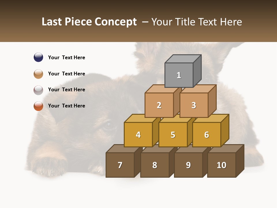 German Fun Obedient PowerPoint Template