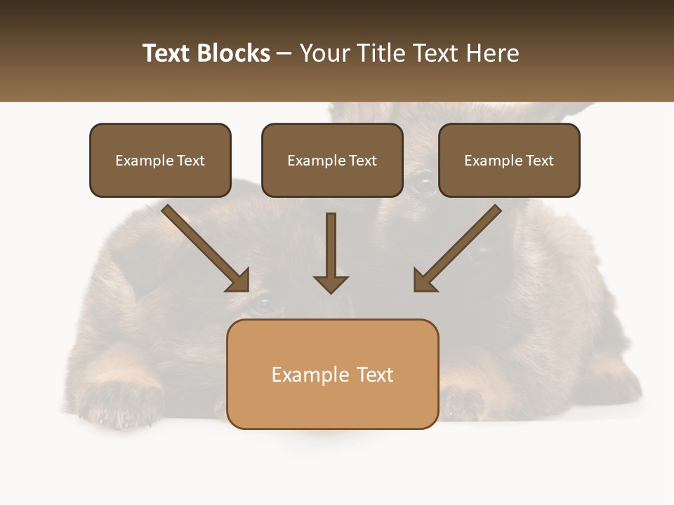 German Fun Obedient PowerPoint Template