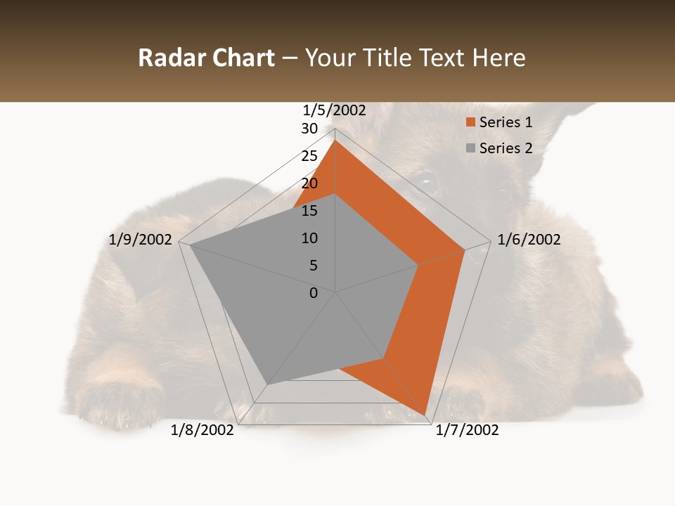 German Fun Obedient PowerPoint Template
