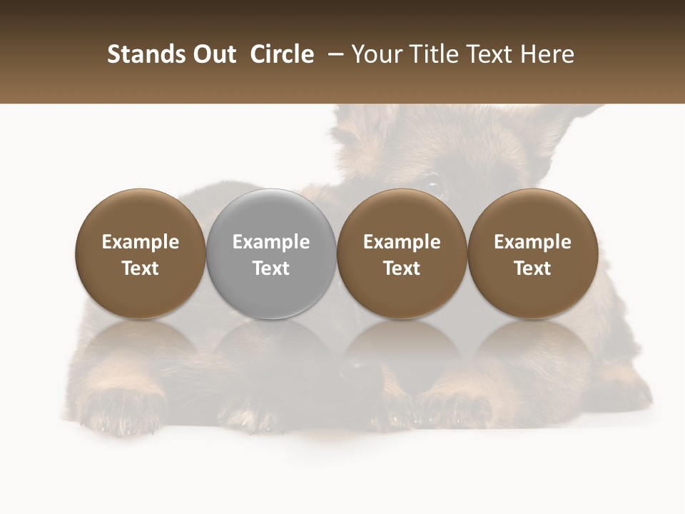 German Fun Obedient PowerPoint Template