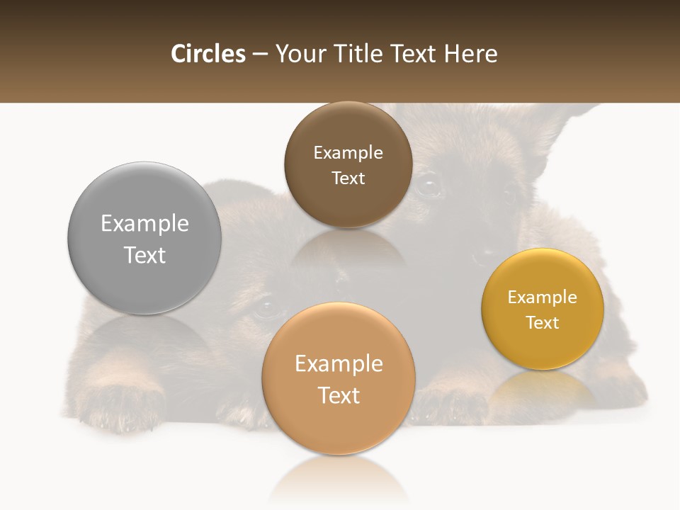 German Fun Obedient PowerPoint Template