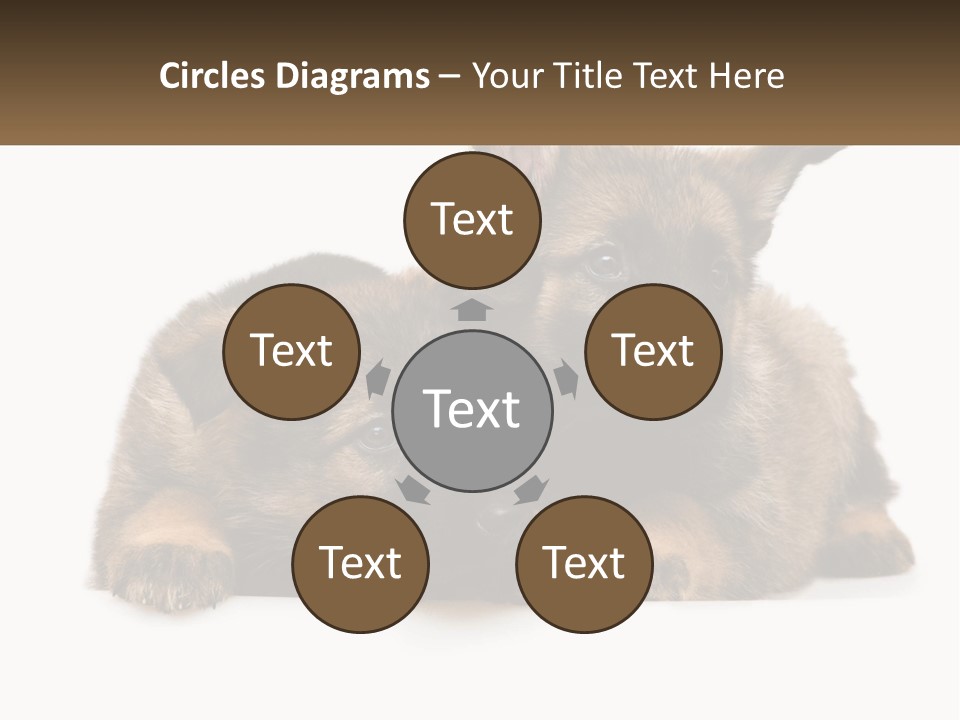 German Fun Obedient PowerPoint Template