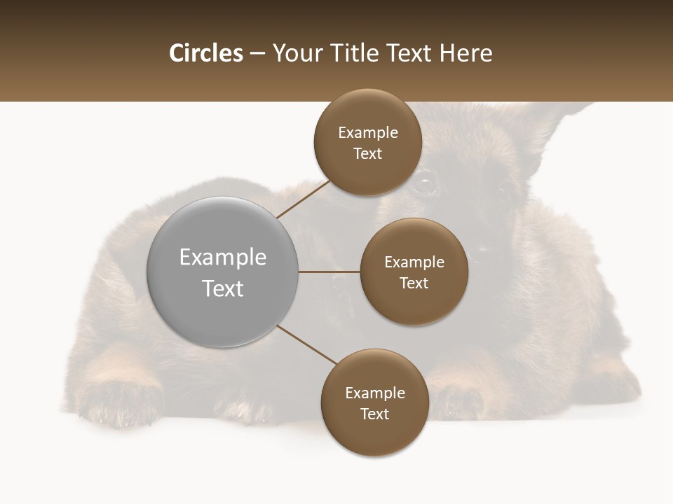 German Fun Obedient PowerPoint Template