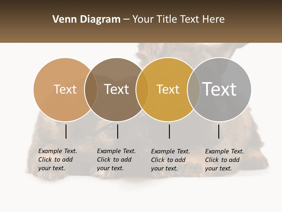 German Fun Obedient PowerPoint Template