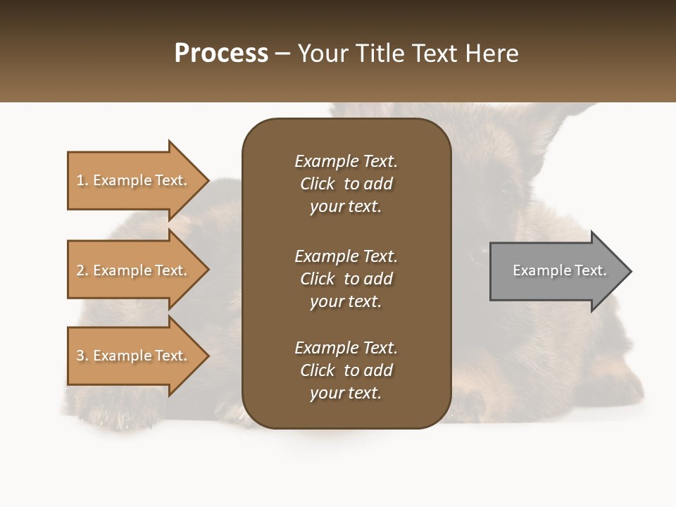 German Fun Obedient PowerPoint Template