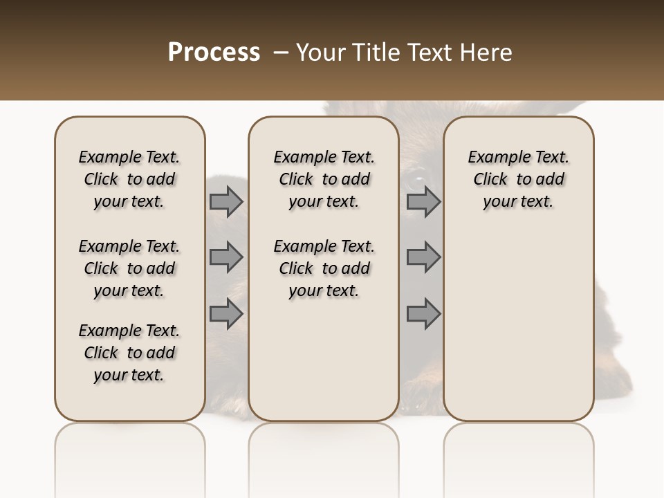 German Fun Obedient PowerPoint Template