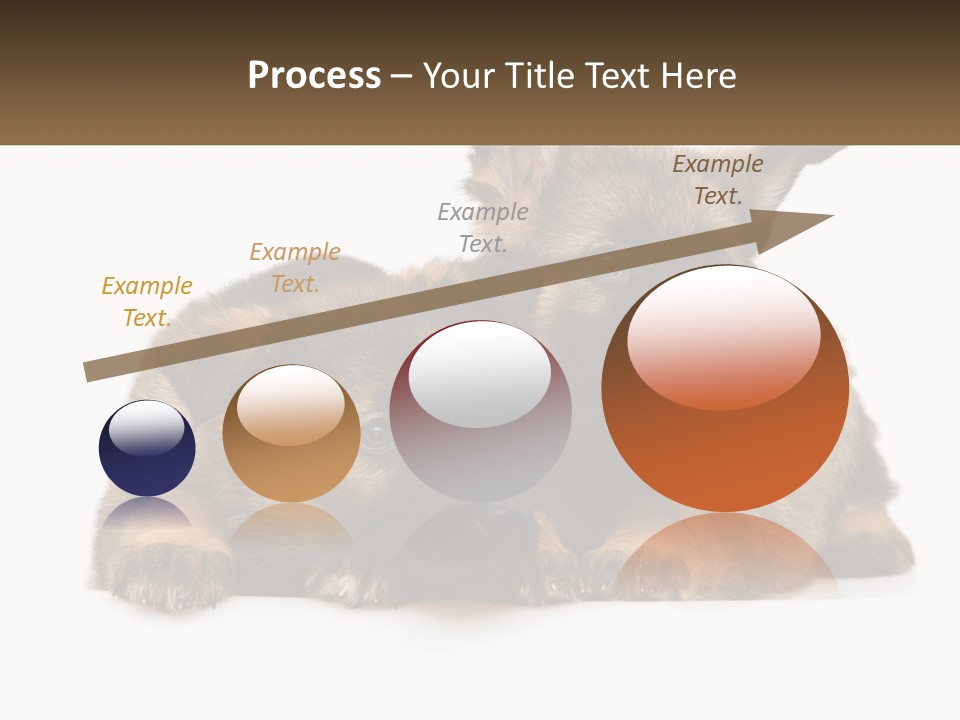 German Fun Obedient PowerPoint Template