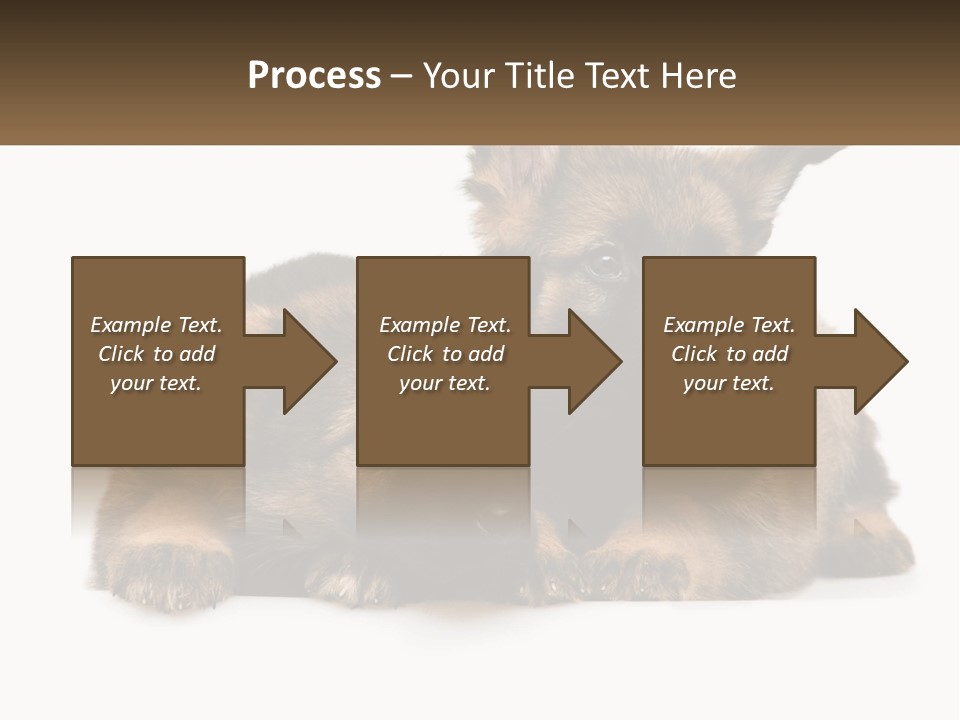 German Fun Obedient PowerPoint Template