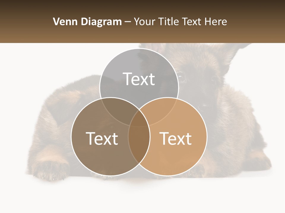 German Fun Obedient PowerPoint Template