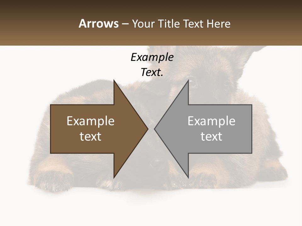 German Fun Obedient PowerPoint Template