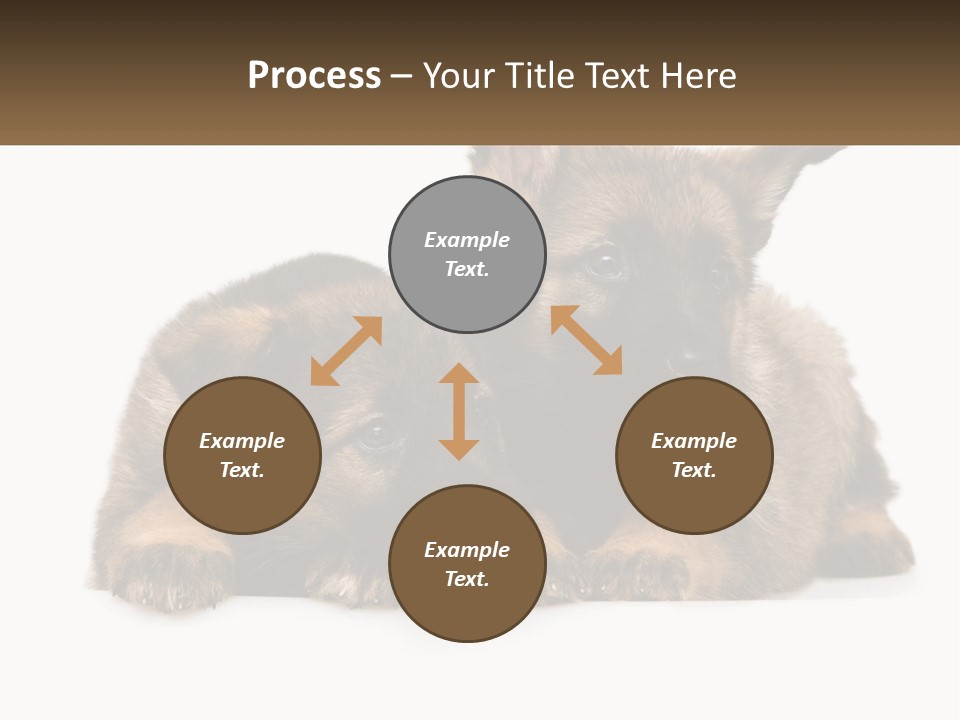 German Fun Obedient PowerPoint Template