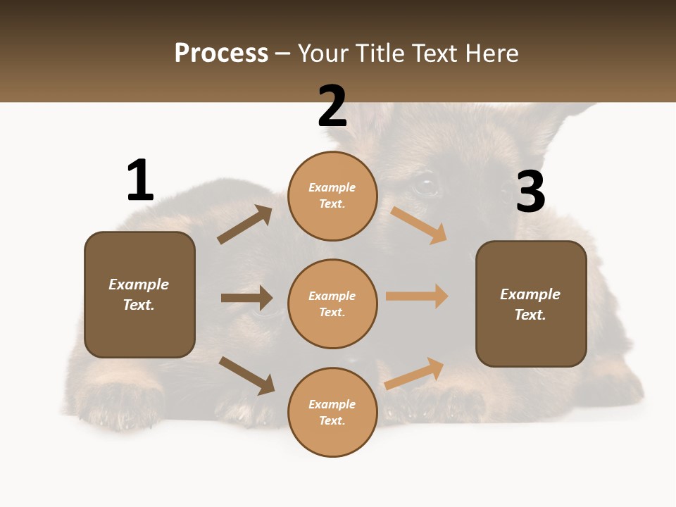 German Fun Obedient PowerPoint Template