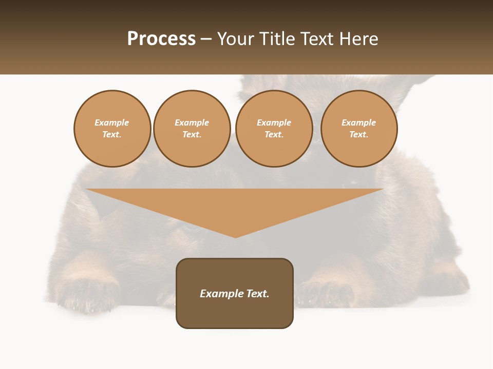 German Fun Obedient PowerPoint Template
