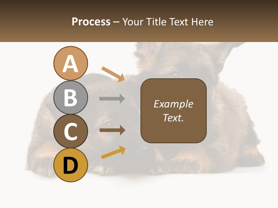 German Fun Obedient PowerPoint Template