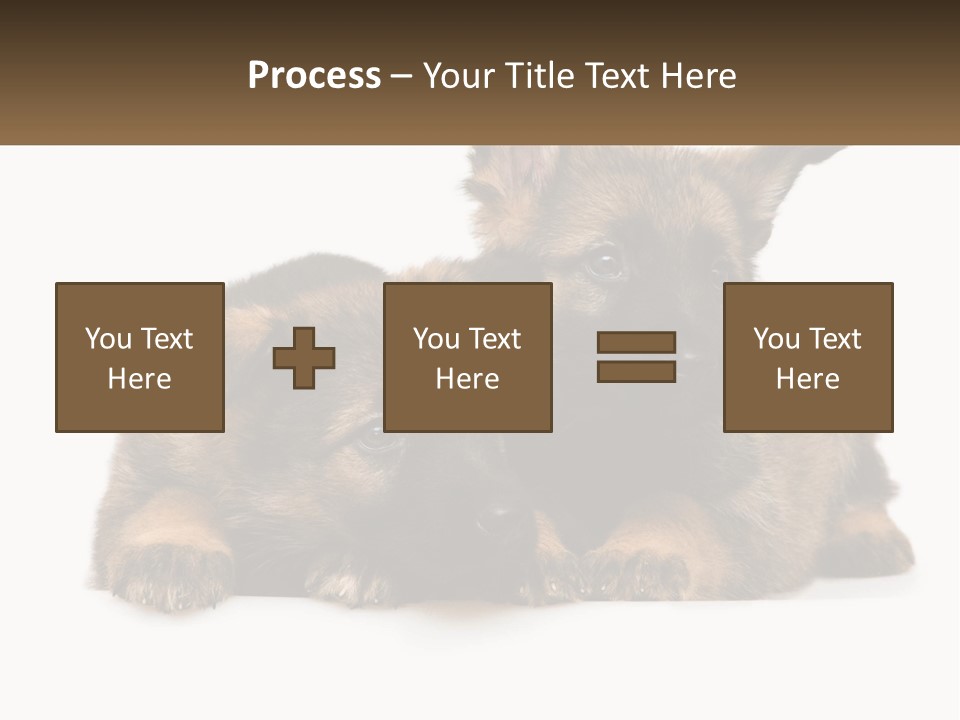German Fun Obedient PowerPoint Template