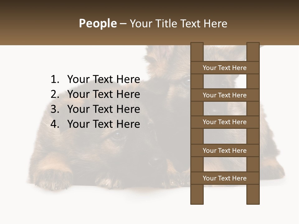 German Fun Obedient PowerPoint Template