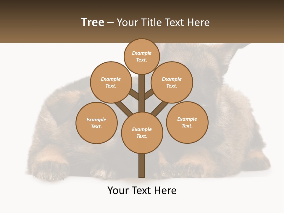 German Fun Obedient PowerPoint Template