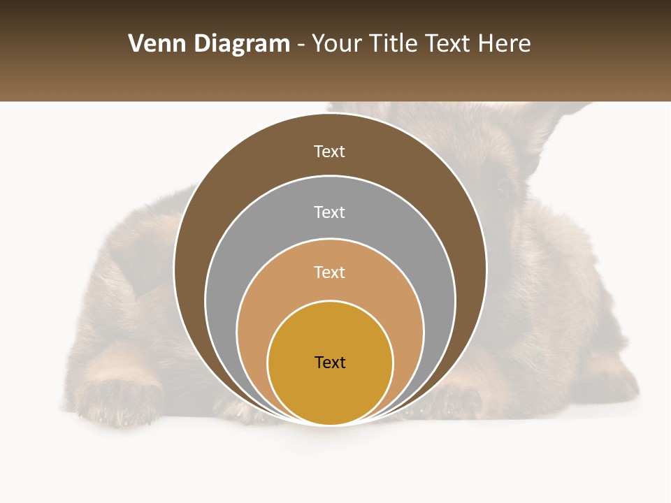 German Fun Obedient PowerPoint Template