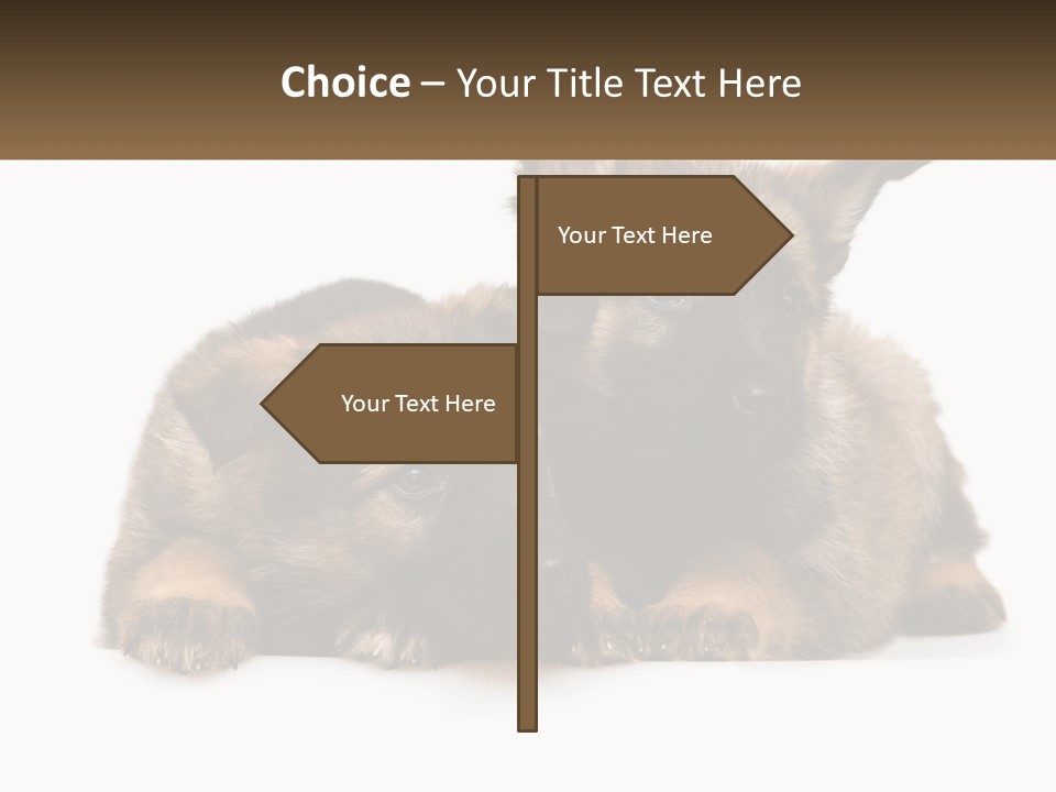 German Fun Obedient PowerPoint Template