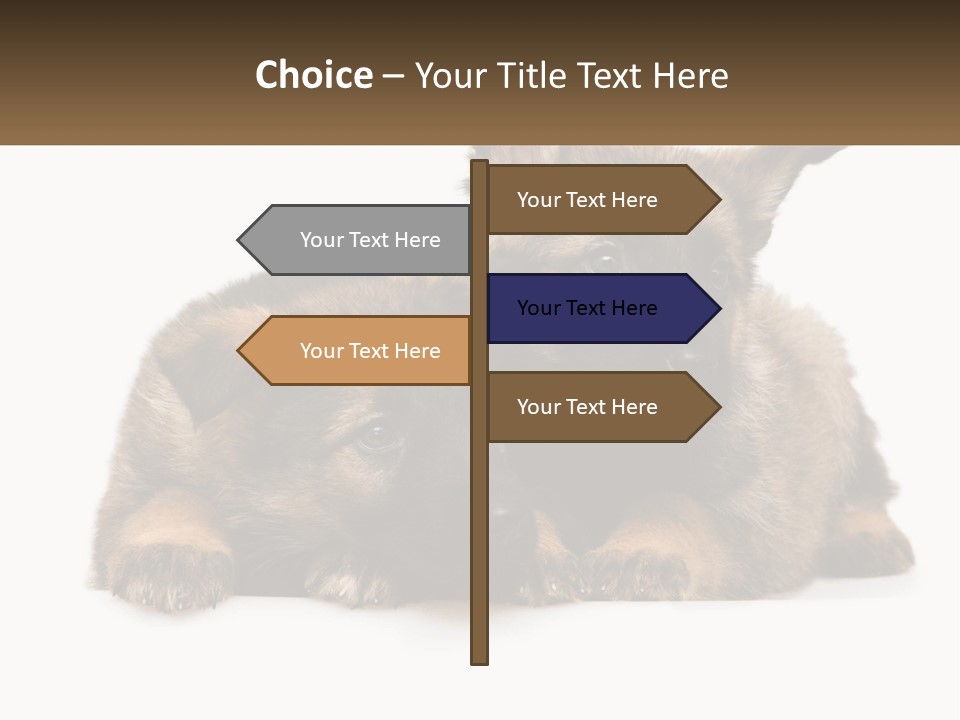 German Fun Obedient PowerPoint Template
