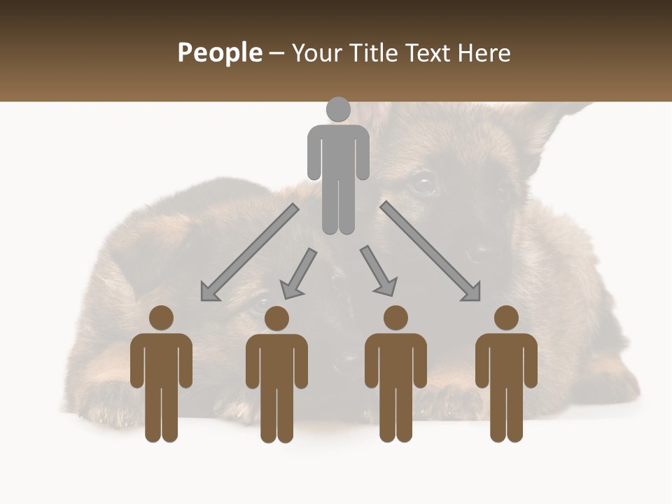 German Fun Obedient PowerPoint Template