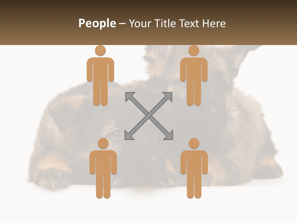 German Fun Obedient PowerPoint Template