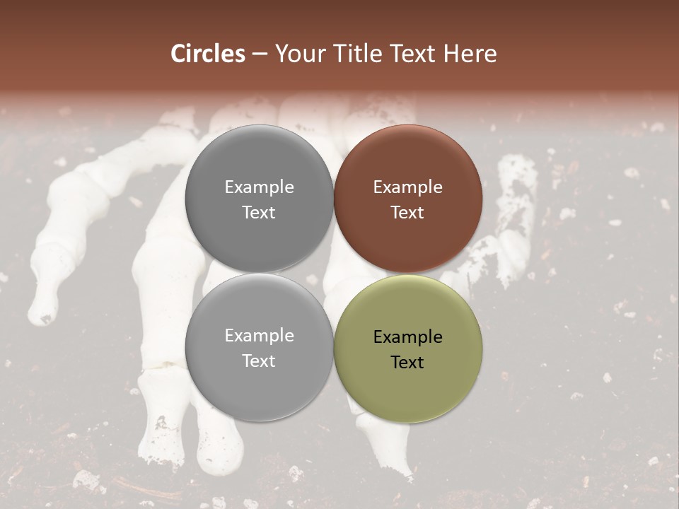 Skeleton Skeletal Discovered PowerPoint Template