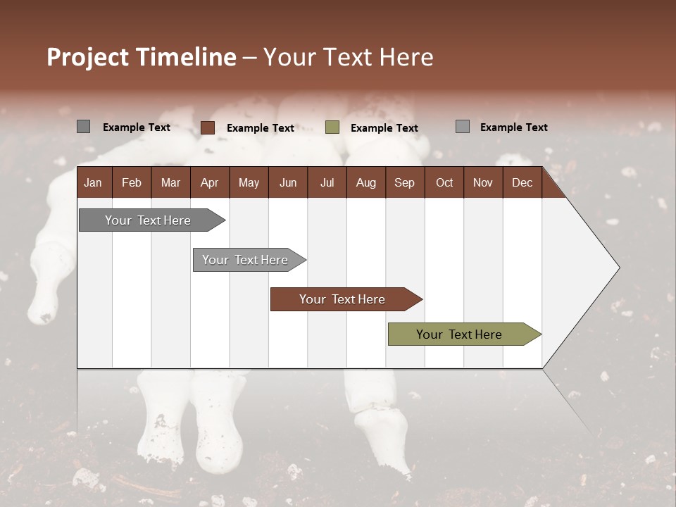 Skeleton Skeletal Discovered PowerPoint Template