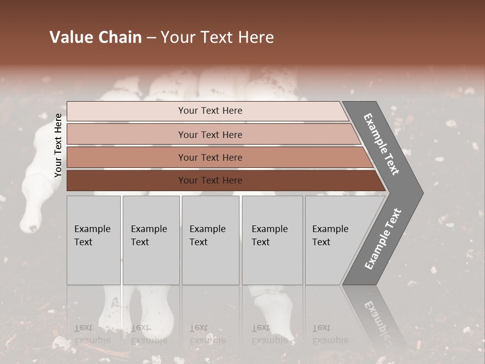 Skeleton Skeletal Discovered PowerPoint Template
