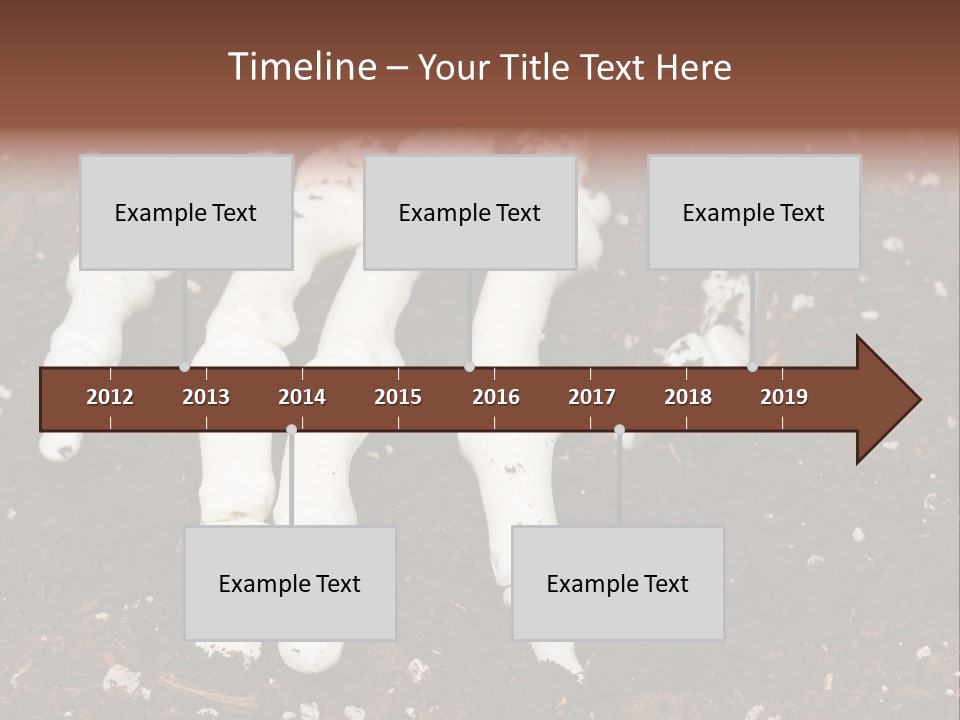 Skeleton Skeletal Discovered PowerPoint Template
