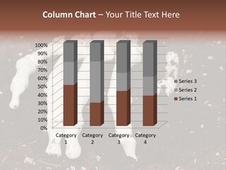 Skeleton Skeletal Discovered PowerPoint Template