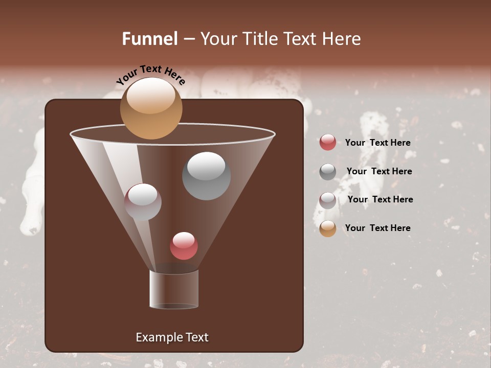 Skeleton Skeletal Discovered PowerPoint Template