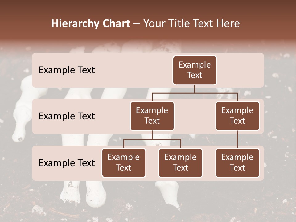 Skeleton Skeletal Discovered PowerPoint Template