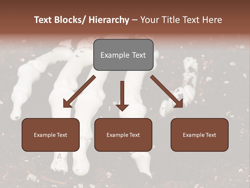 Skeleton Skeletal Discovered PowerPoint Template