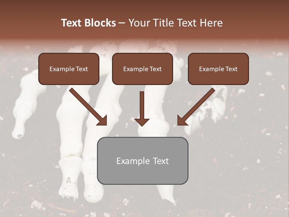 Skeleton Skeletal Discovered PowerPoint Template