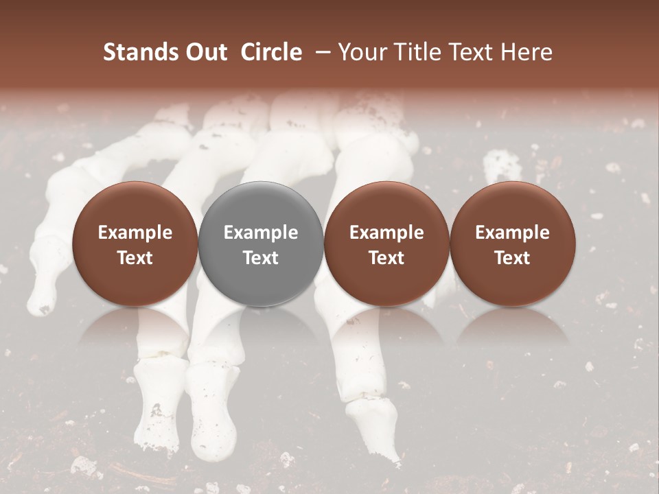 Skeleton Skeletal Discovered PowerPoint Template