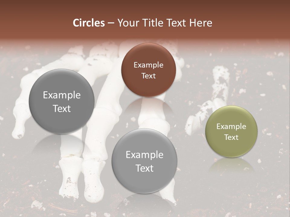 Skeleton Skeletal Discovered PowerPoint Template