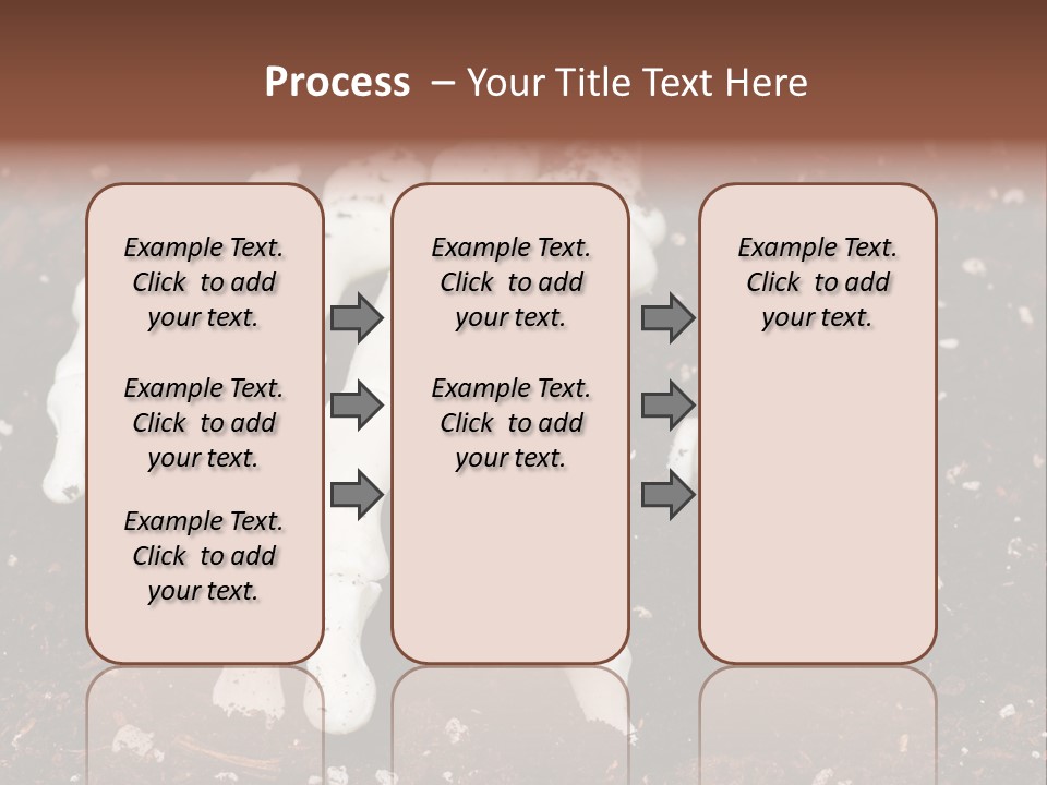 Skeleton Skeletal Discovered PowerPoint Template