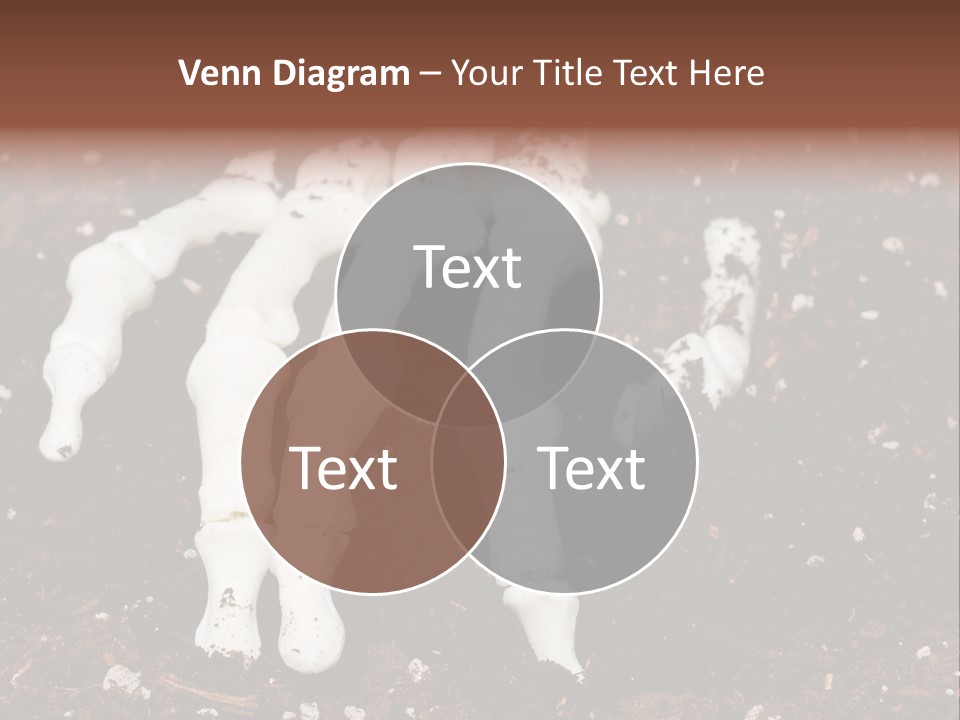 Skeleton Skeletal Discovered PowerPoint Template