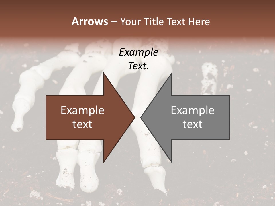 Skeleton Skeletal Discovered PowerPoint Template