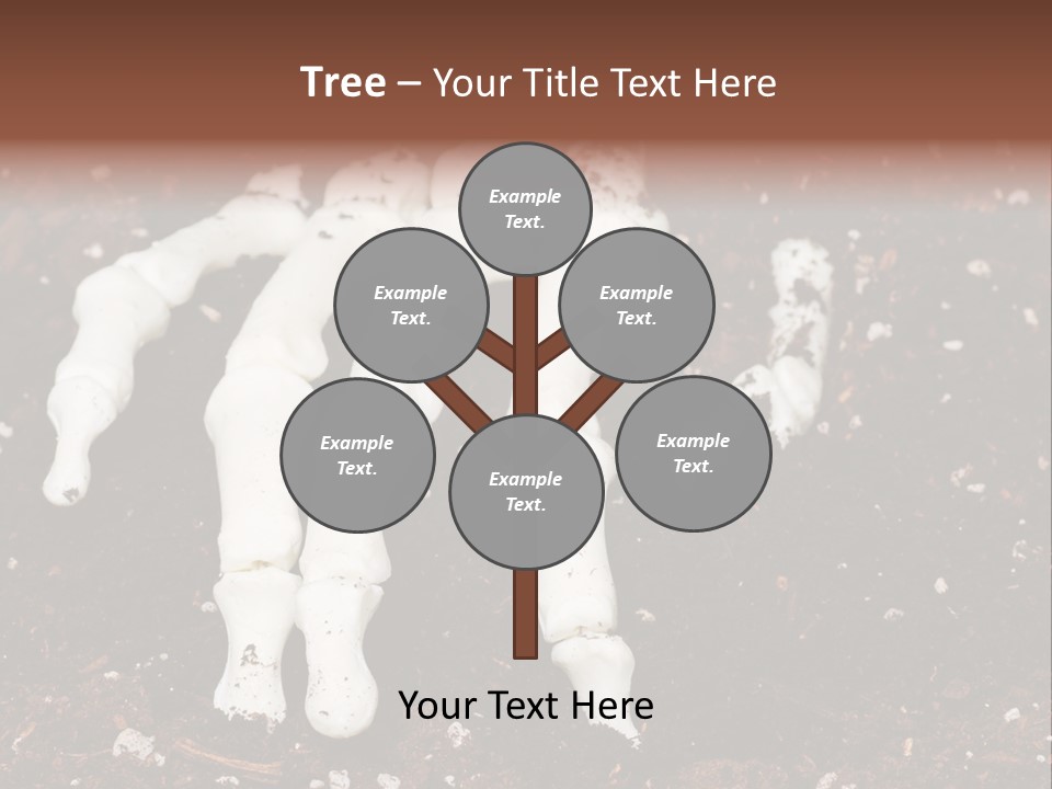Skeleton Skeletal Discovered PowerPoint Template